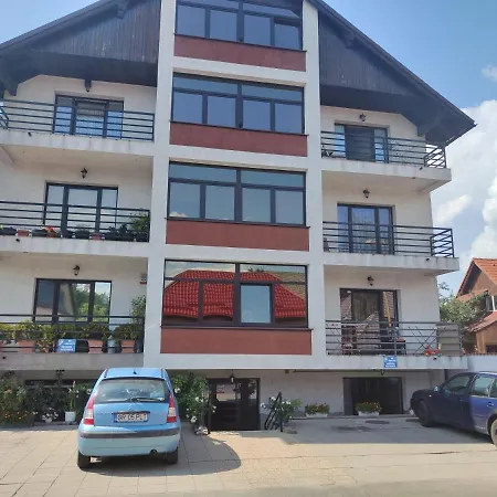 Studioul De Vis Apartment