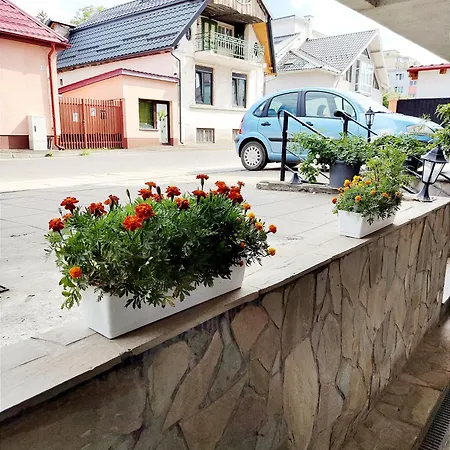 Studioul De Vis Apartment *