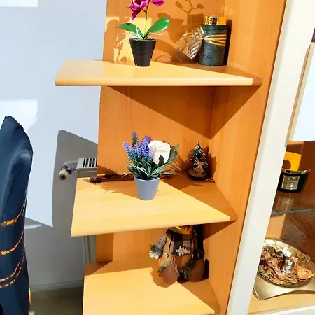 Studioul De Vis Daire Braşov