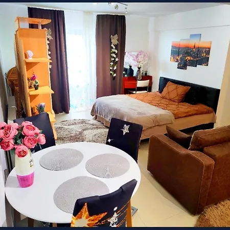 Studioul De Vis Daire
