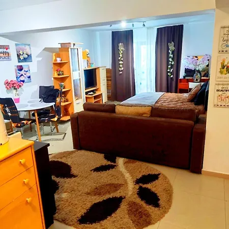 Studioul De Vis Daire *