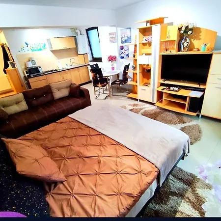 Apartment Studioul De Vis *