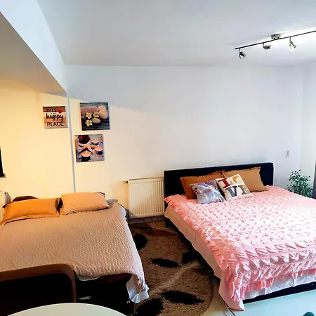 Apartment Studioul De Vis Brașov