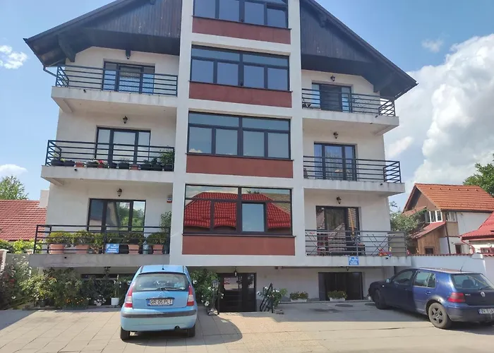 Studioul De Vis Apartment