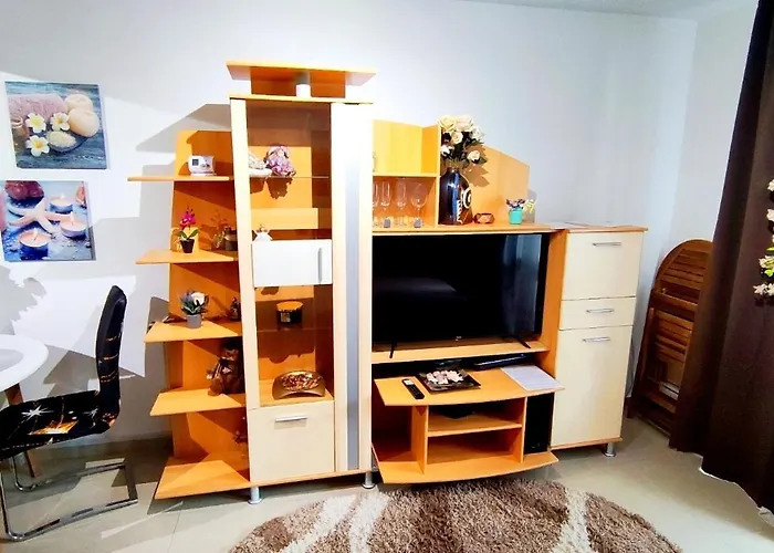 Apartment Studioul De Vis *