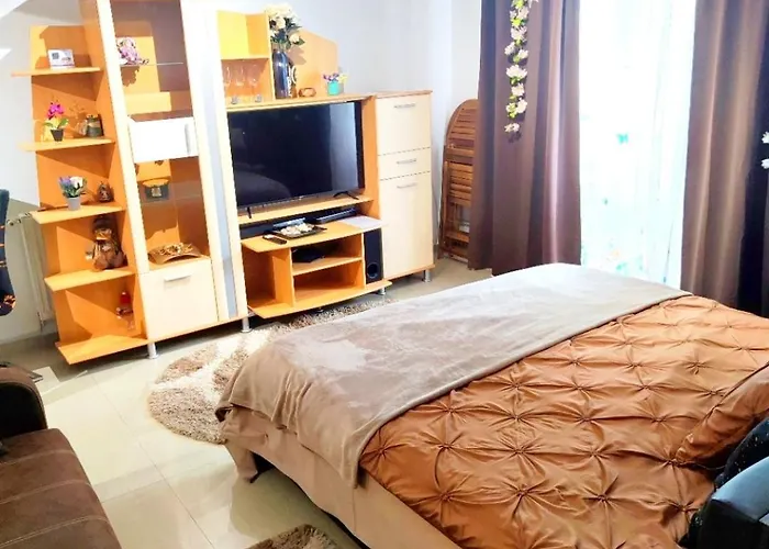 Studioul De Vis Apartment *