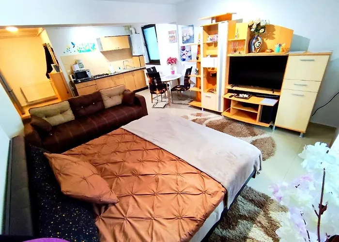 Apartment Studioul De Vis *